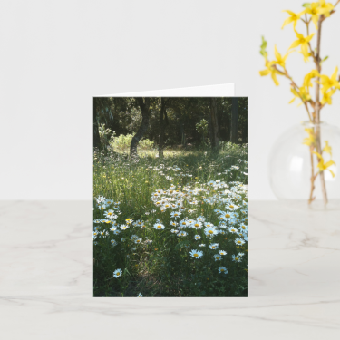 Daisy Field Greeting Card